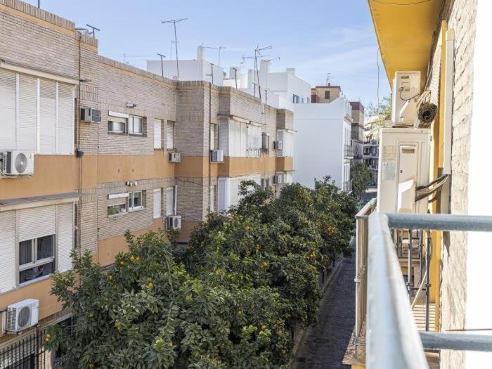 Pureza Dreams De Sevilla Oasis En Triana Luaran gambar